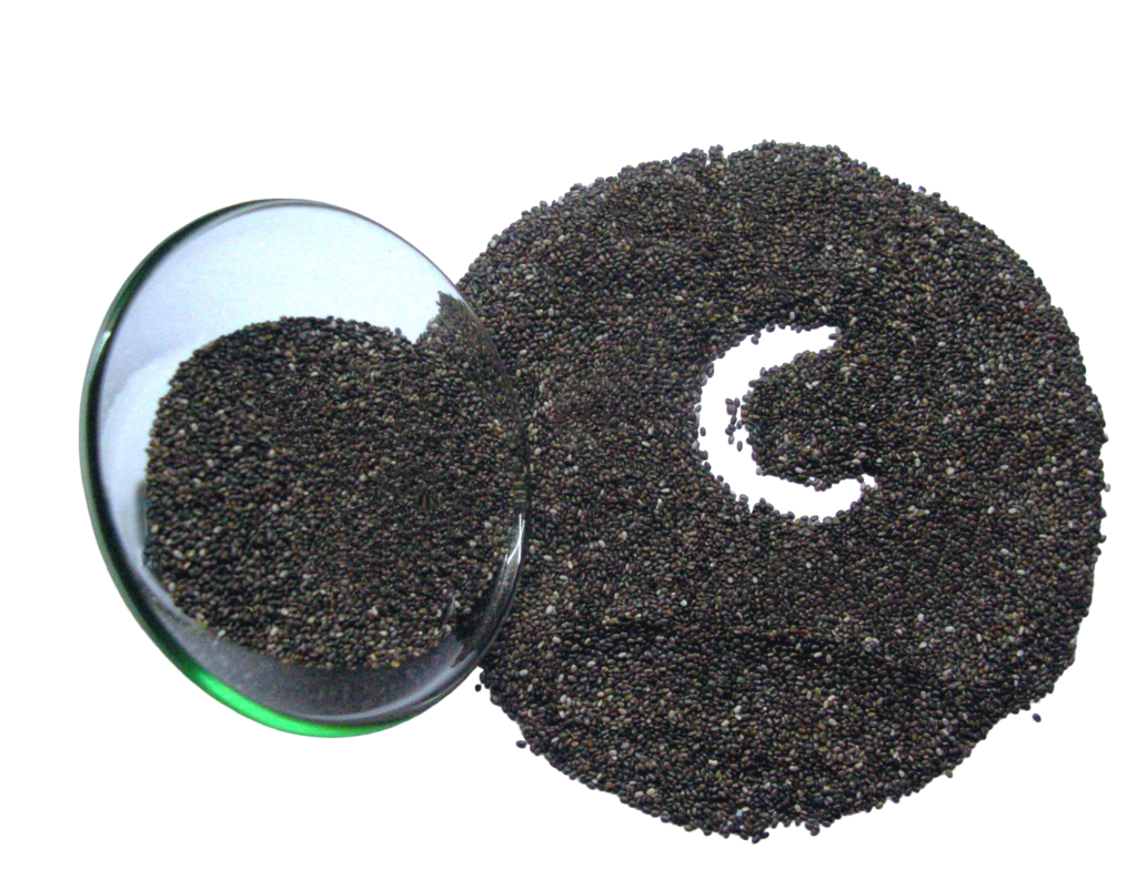 Chia Seeds Manufacturers, Bulk Suppliers & Exporters India