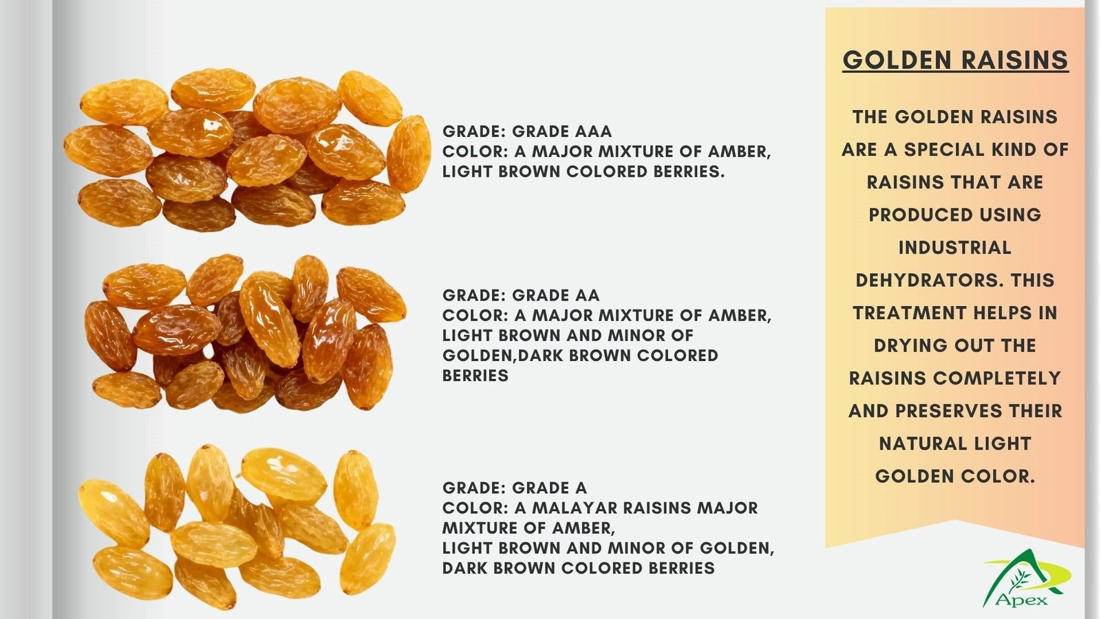 Feed Raisin Golden & Malayar Raisins -Bulk Raisin Supplier & Exporter India