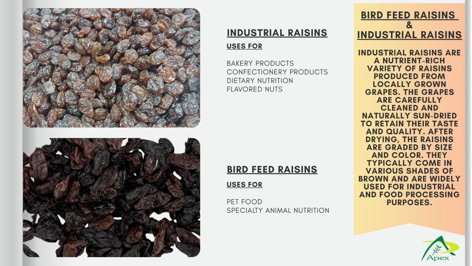 Feed Raisin Golden & Malayar Raisins -Bulk Raisin Supplier & Exporter India