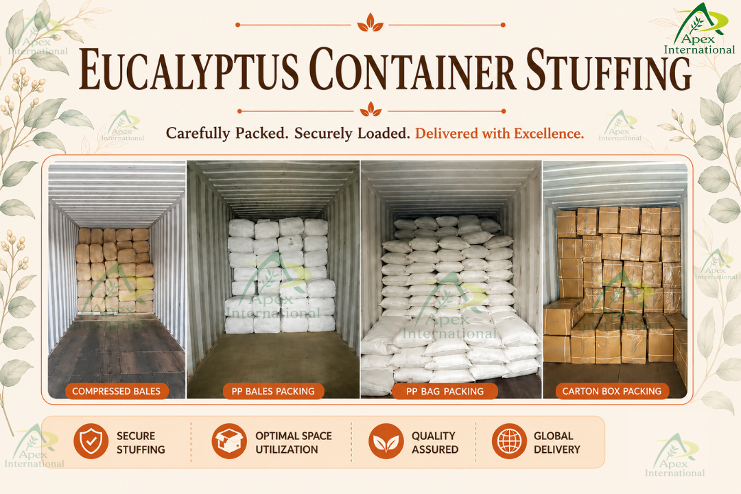 Eucalyptus Leaves Packing Option