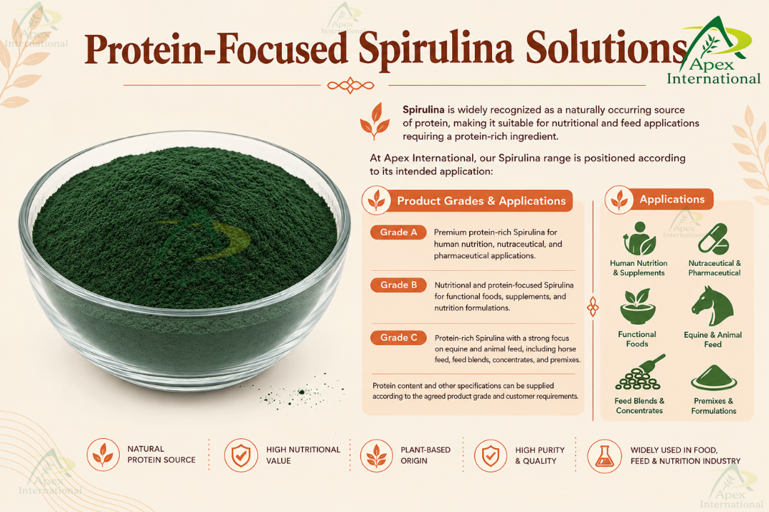 Protein-Focused Spirulina Solutions